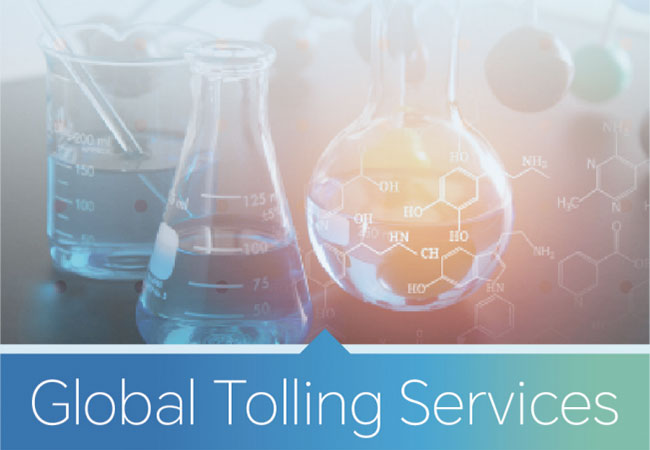 Global Tolling Services